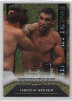 Fabricio Werdum #/88