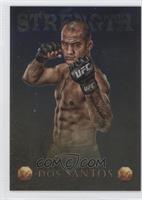 Junior Dos Santos #/188