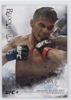 Dennis Bermudez