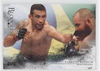 Fabricio Werdum