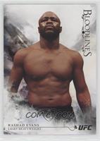 Rashad Evans