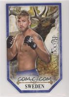 Alexander Gustafsson