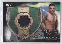 Fabricio Werdum #/208