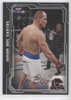 Junior Dos Santos #/188