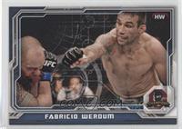 Fabricio Werdum #/88