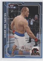 Junior Dos Santos #/88