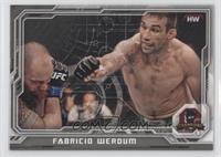 Fabricio Werdum