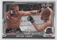 Urijah Faber