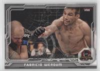 Fabricio Werdum