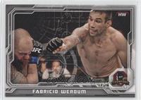 Fabricio Werdum