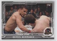 Dennis Bermudez