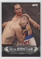 Junior Dos Santos #/219