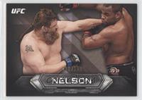 Roy Nelson #/219