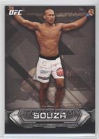 Ronaldo Souza #/219