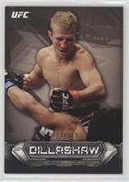 TJ Dillashaw #/219