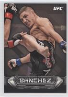 Diego Sanchez #/219