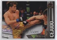 Henry Cejudo #/188