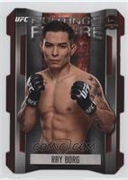 Ray Borg