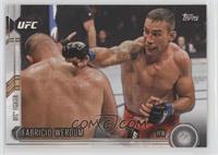 Fabricio Werdum