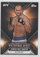 Junior Dos Santos