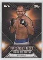 Junior Dos Santos