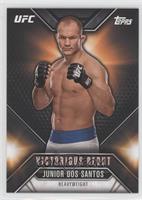 Junior Dos Santos