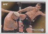 Fabricio Werdum #/99