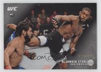 Aljamain Sterling #/199