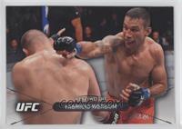 Fabricio Werdum