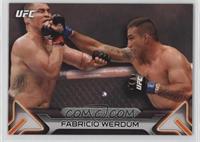 Fabricio Werdum