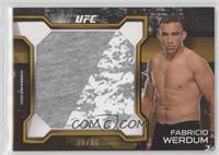 Fabricio Werdum #/88