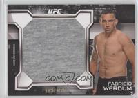 Fabricio Werdum #/188