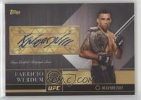 Fabricio Werdum