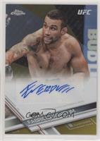 Fabricio Werdum #/50