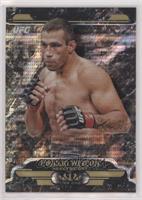 Fabricio Werdum #/50