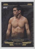 Dominick Cruz