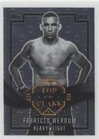 Fabricio Werdum