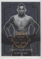 Fabricio Werdum