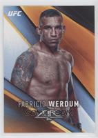 Fabricio Werdum