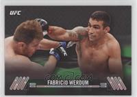 Fabricio Werdum #/215