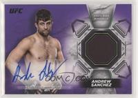 Andrew Sanchez #/25