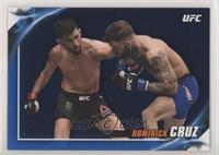 Dominick Cruz #/88