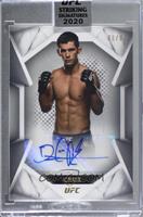 Dominick Cruz [Uncirculated] #/67