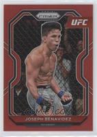 Joseph Benavidez #/275