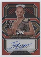 Junior Dos Santos #/49