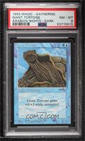 Giant Tortoise [PSA 8 NM‑MT]