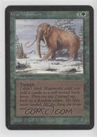 War Mammoth [EX to NM]