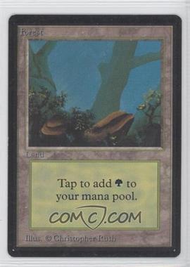 1993 Magic: The Gathering - Limited Edition Beta - [Base] #_FORE.3 - Forest