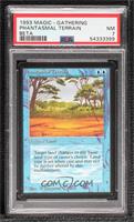 Phantasmal Terrain [PSA 7 NM]