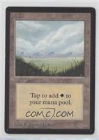 Plains (Open Meadow) [EX to NM]